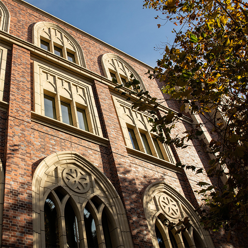 A exterior photo of ANN on a sunny day, with the partial shade of a tree on the brick siding
