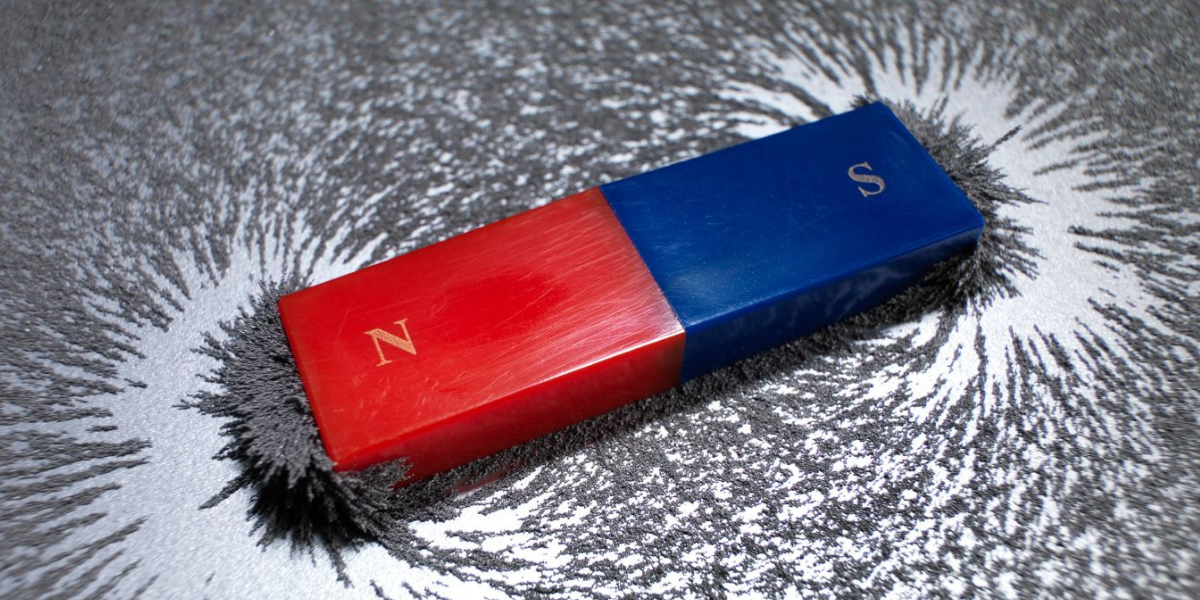 Business must play a greater role in reducing polarization | USC