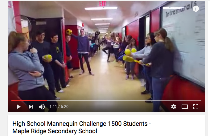 What the Hell Is the Mannequin Challenge? A Short Explainer - TheWrap