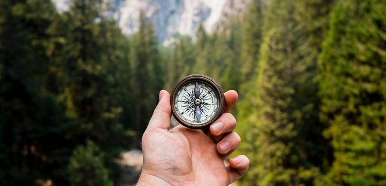 Image of a hand holding a compass in the wilderness