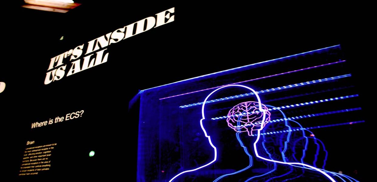 Photo of a neon sign with the words next to it that read "it's inside us all"