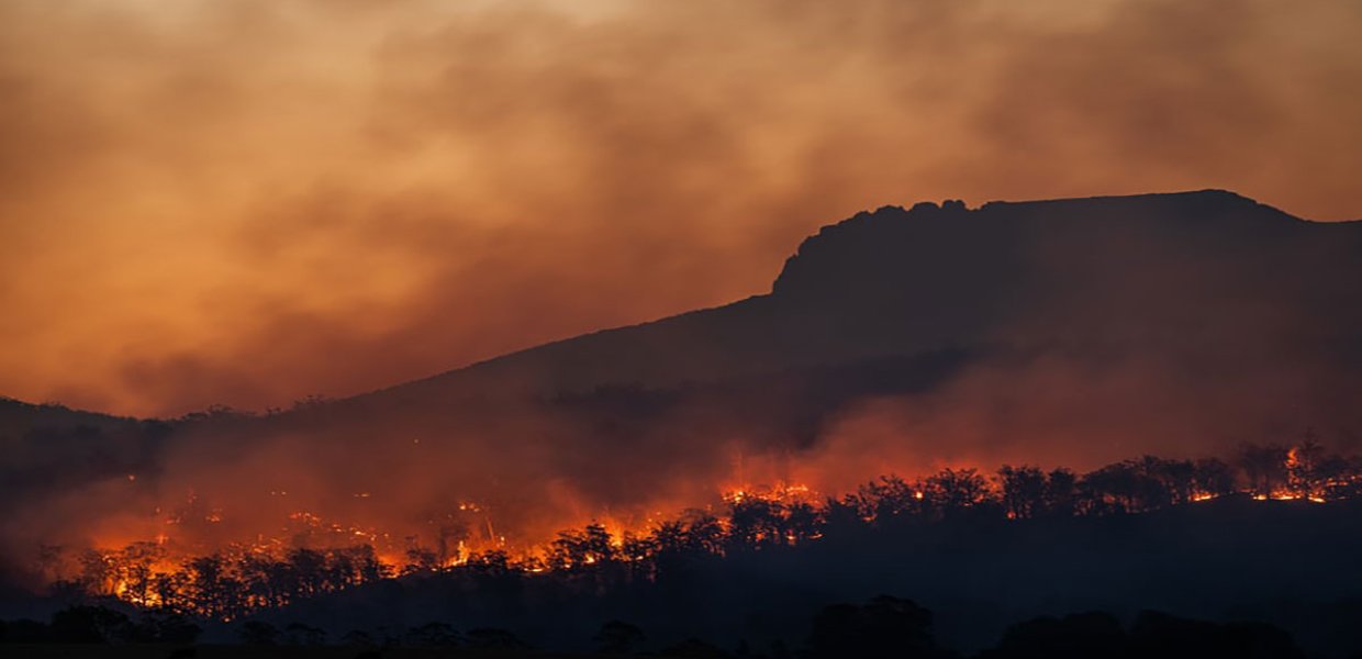 Photo of a wildfire
