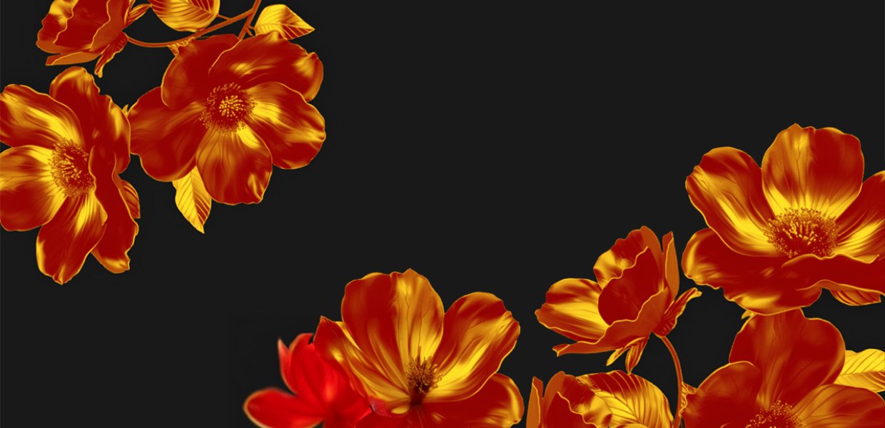 Orange flowers against a black background