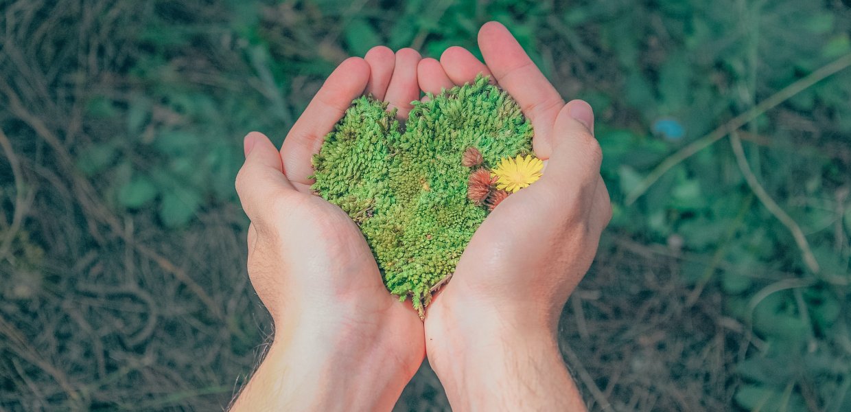 Image of a person holding forest moss and soil