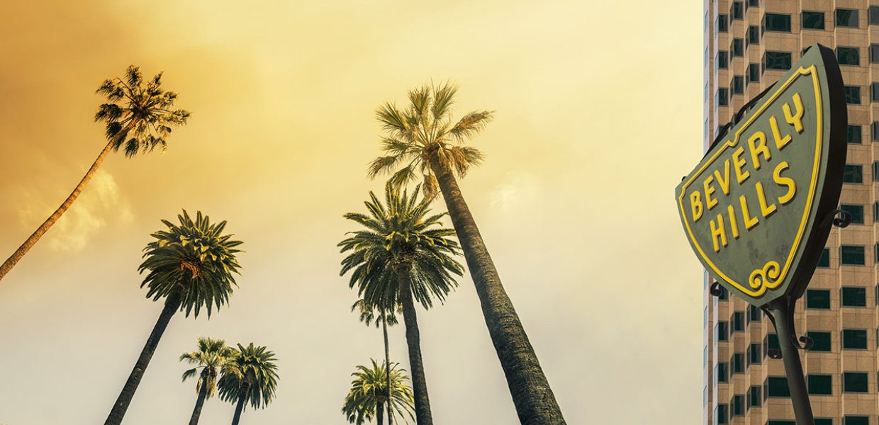 Photo of palm trees next to a sign that says "Beverly Hills"
