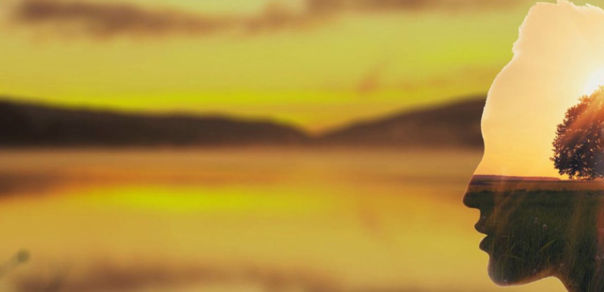 The outline of a person's head with a tree inside of it, against a blurry, yellow savanna