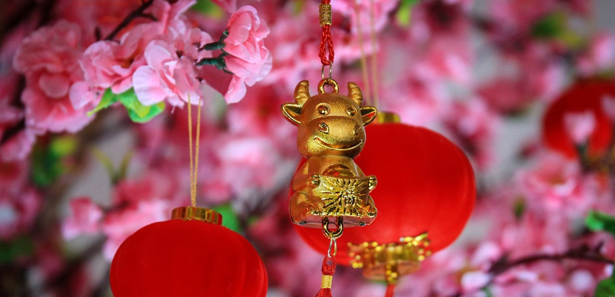 Photo of Lunar New Year, Year of the Ox