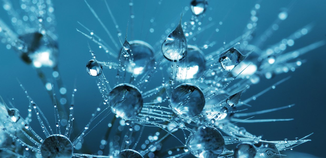Photo of frozen water droplets