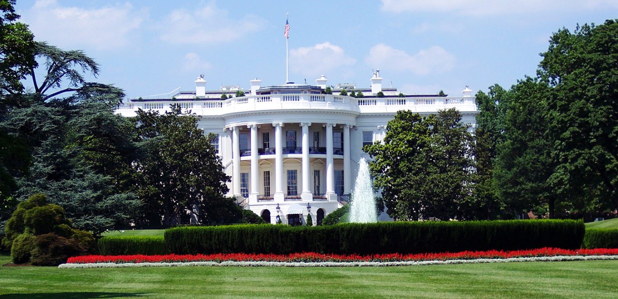 Washington D.C.