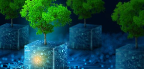 A grove of trees growing out of glowing electronic-looking cubes