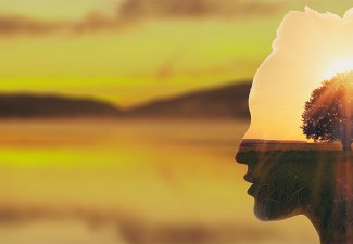 Person's silhouetted face with the African savannah behind them