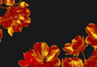 Orange flowers against a black background