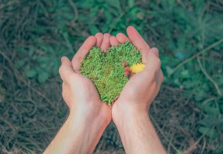 Image of a person holding forest moss and soil