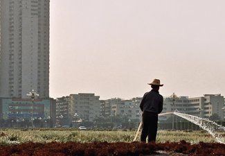 Photo of a person watering vegetation in China