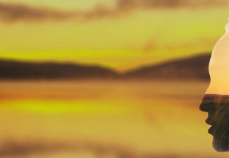 The outline of a person's head with a tree inside of it, against a blurry, yellow savanna