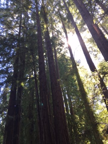 CERI was held on the campus of UC Santa Cruz, in Northern California.