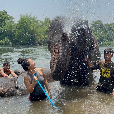 Kelly Chan smiles while being sprayed with water by an elephant while two Thai men also pose for camera