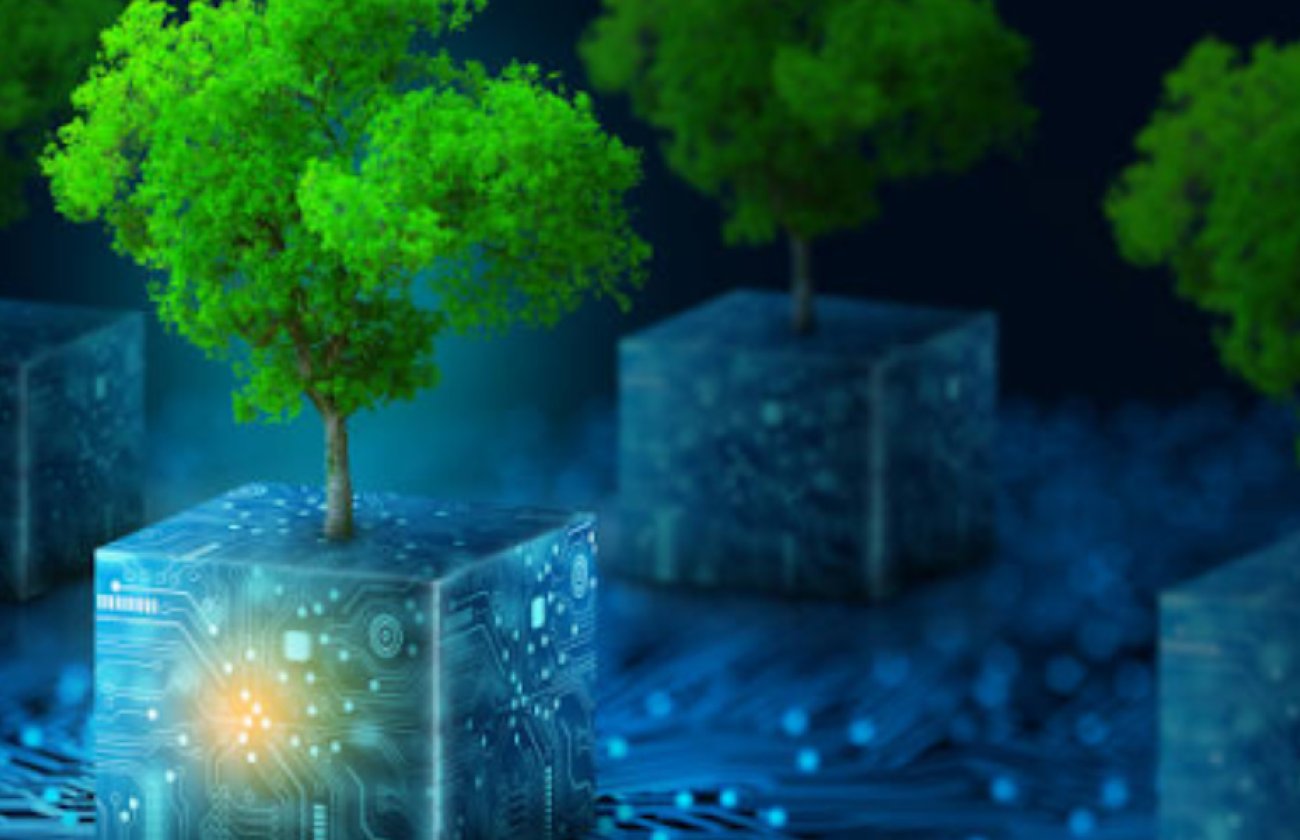 A grove of trees growing out of glowing electronic-looking cubes