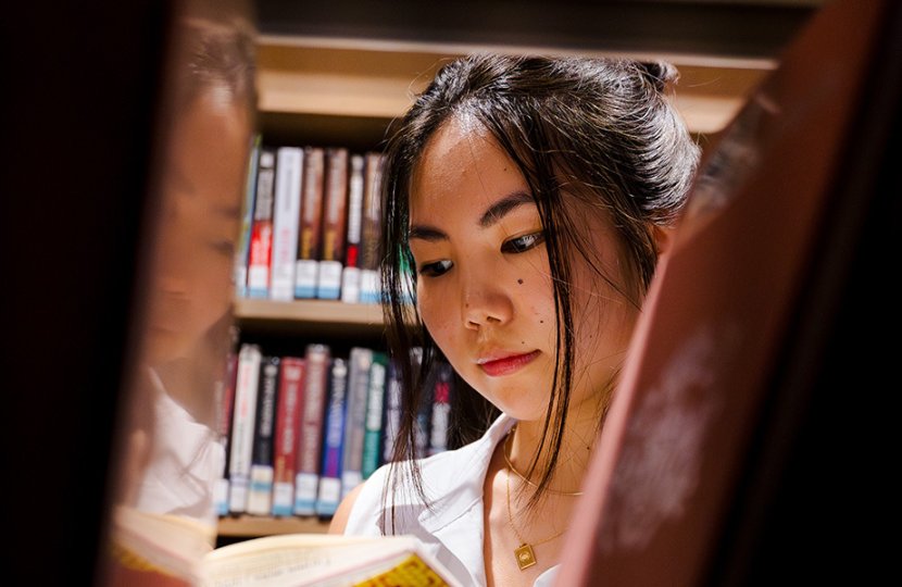 Through a gap in the bookshelf, a female student reads a book.