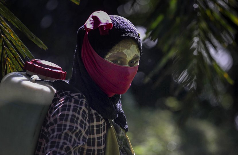 In a photo from the “Fruits of Labor” series by Associated Press reporters Margie Mason and Robin McDowell, a female worker walks with a pesticide sprayer on her back at a palm oil plantation in Sumatra, Indonesia.