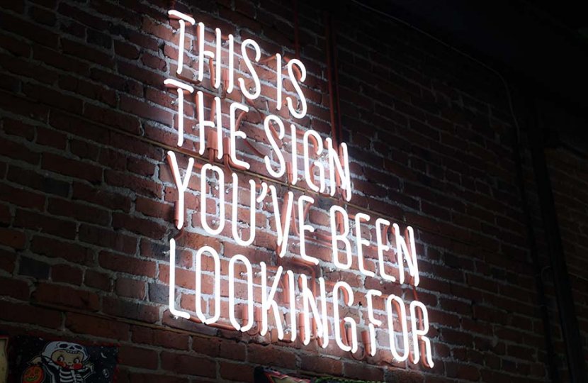 Photo of a neon sign that reads "this is the sign you've been looking for"