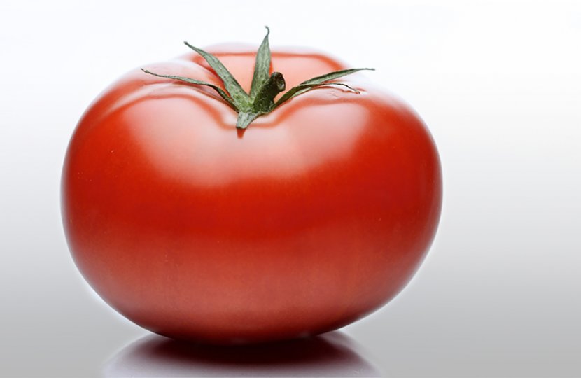 Photo of a tomato
