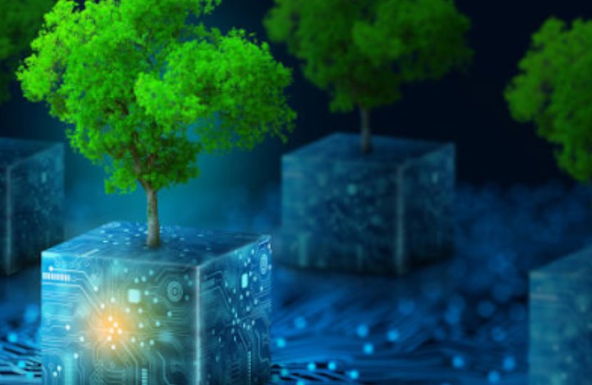 A grove of trees growing out of glowing electronic-looking cubes